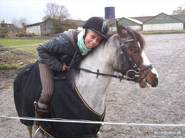 Anden særlig race Pandora - Låner  - Velkommen til Pandora´s Profil(:  billede 1