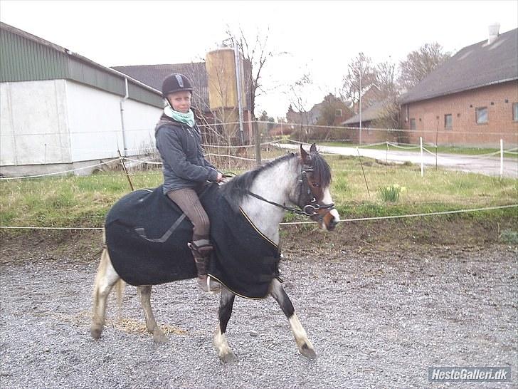 Anden særlig race Pandora - Låner  - Uhh du er fin ´ lille <3 billede 9