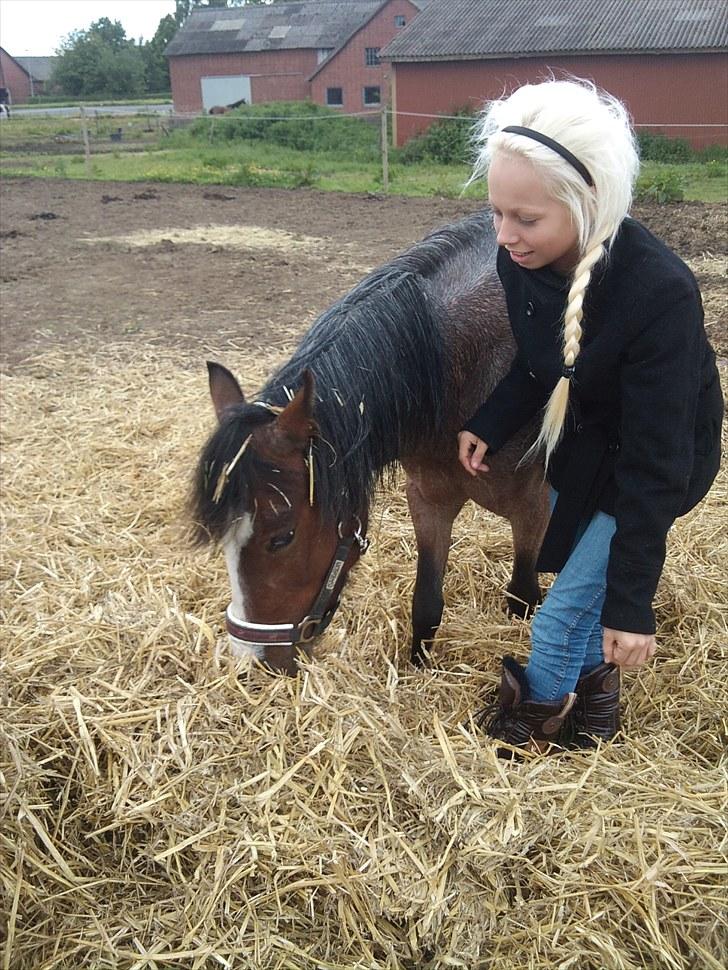Anden særlig race Pandora - Låner  - :p billede 15