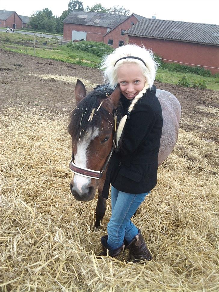 Anden særlig race Pandora - Låner  - Dejlig Pande <3 billede 16