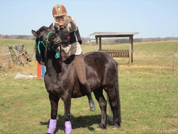 Anden særlig race Jolly - Første gang Bidløs på englen - Forår 2011 billede 3