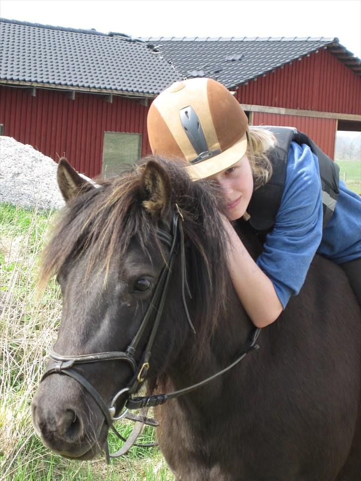 Anden særlig race Jolly - Fordi du er DIG billede 9