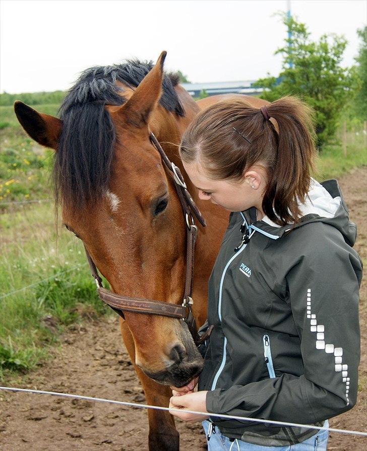 Tysk Oldenburger Elnino<3 <3 ¤R.I.P¤  - da jeg var ude og sige farvel til det dejligste dyr i verden ): <3 kommer til at savne dig ubeskriveligt meget!! <3 <3  billede 8