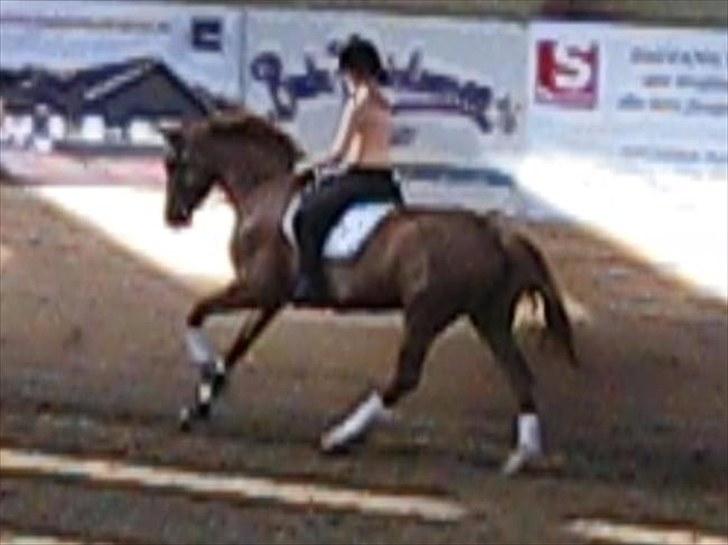 Dansk Varmblod Lobergs Carolina  - tjaaaeh?! 
en lidt vild ukontrolerbar galop? :D Men men.. Der er sket rigtig meget siden det gamle foto. billede 2