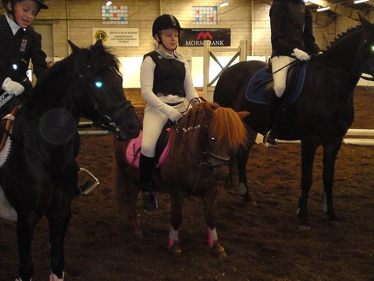Shetlænder Ronja[Solgt]ISavnet<333 - Stævne på MRR :DD Fik to 2. pladser!!! O.O billede 7