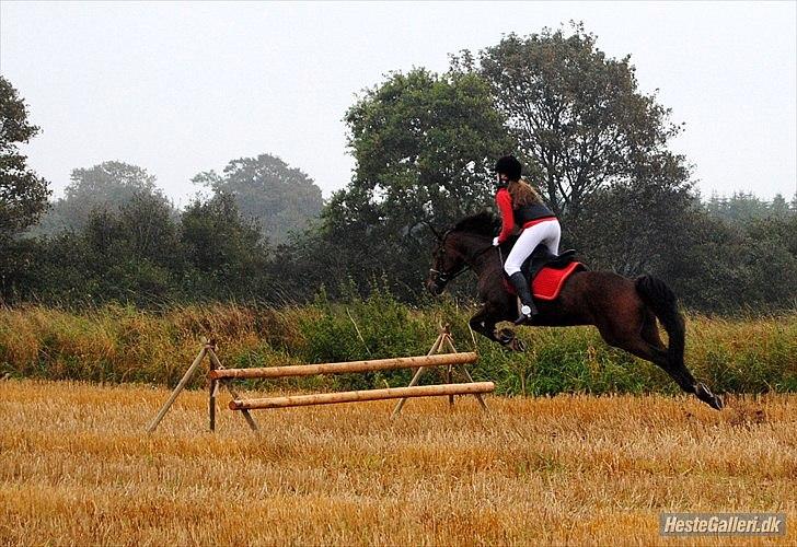 Traver HØJDESPRING B-PONY Lucky Beach<3 - FØRSTE JAGT ! :D han elskede det, så sprang meget tidligt xD han kom OVER uden fejl :D! - kan man dettte, så er vandgrav intet i længden i forhold til xD billede 17