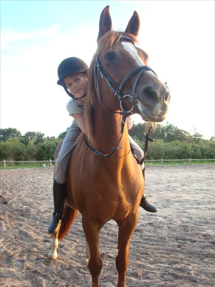 Anden særlig race Twiggie (Part) billede 1