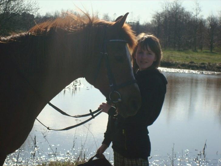 Anden særlig race Twiggie (Part) billede 2