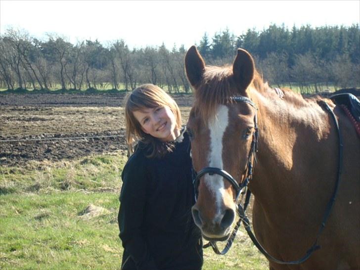 Anden særlig race Twiggie (Part) billede 5