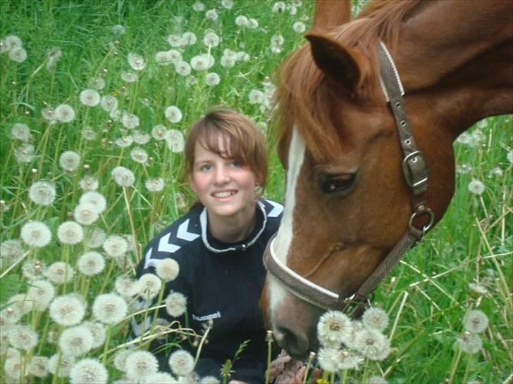 Anden særlig race Twiggie (Part) billede 7