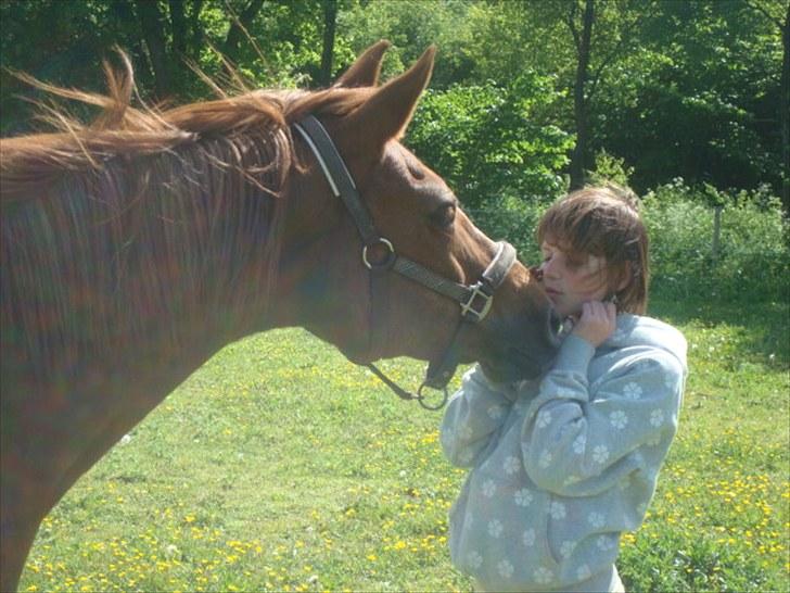 Anden særlig race Twiggie (Part) billede 8