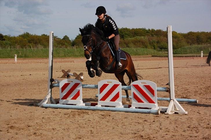 Anden særlig race Angelique SOLGT billede 9