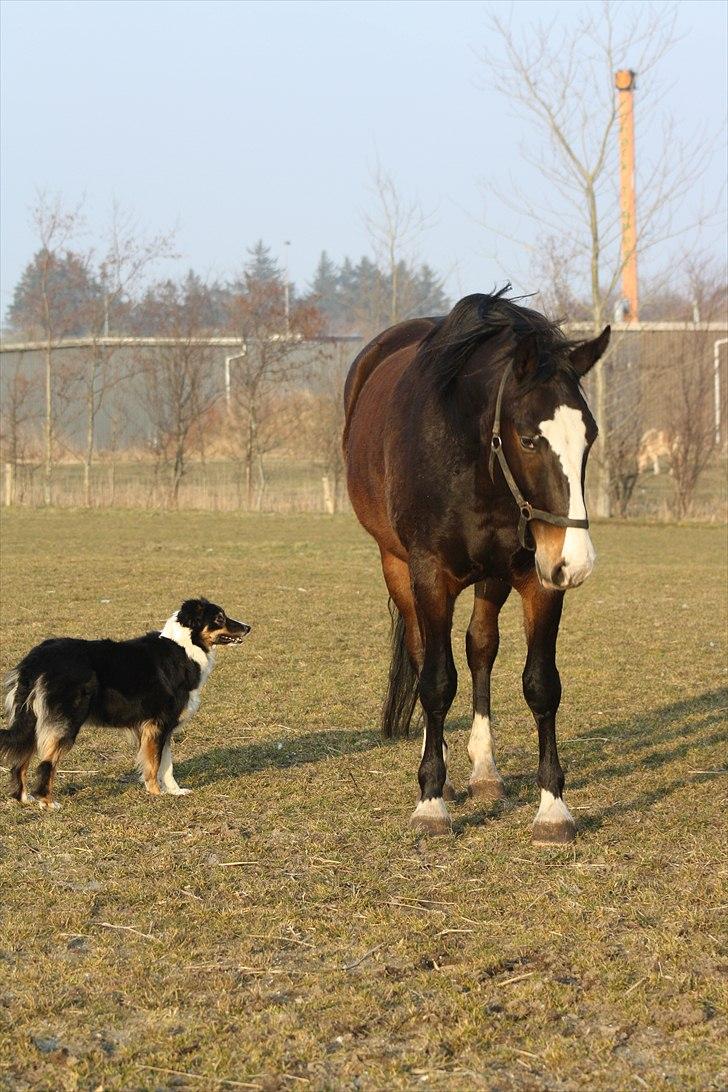 Oldenborg Lucas -  jeg elsker dig mindreng! (: billede 4