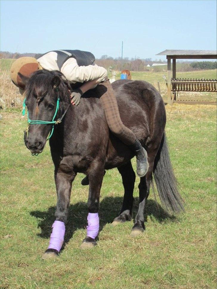 Anden særlig race Jolly - Fordi du for mit hjerte til at slå et slag over <3 billede 18