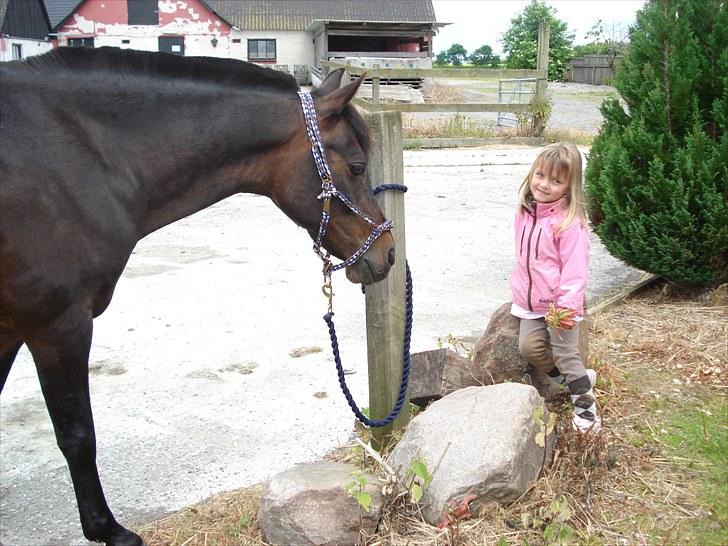 Anden særlig race Tarzan "mit et og alt,-drømme ponyen"<3 - 2010.Ihh jeg kan så godt lide dig Isabella så giver mig altid gulderrødder:-) billede 9