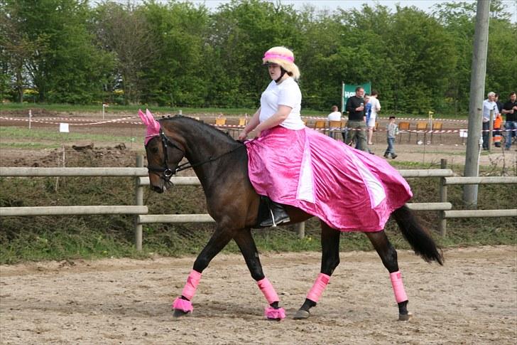 Oldenborg Helios Luciana *R.I.P* billede 15