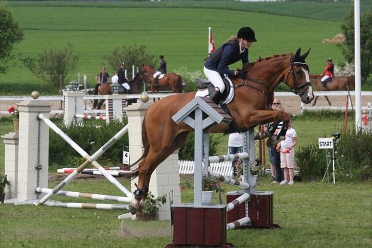 Holstener Clemento 2 - R.I.P :'( - I omspring til distriktsmesterskabet 2010 - blev nr.2 Foto: Gitte Dahl. billede 16