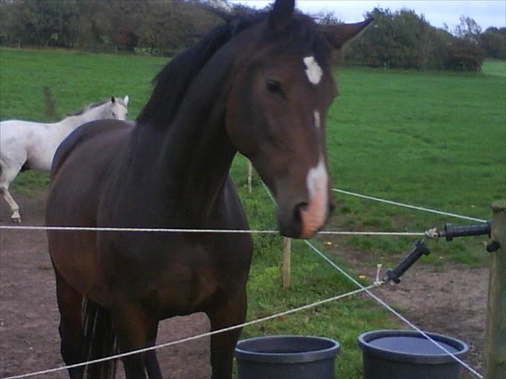 {{currentPhoto.altText}} billede {{currentPhoto.number}}