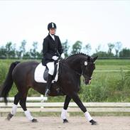 Anden særlig race Santana