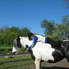 Tinker Frøken Smilla