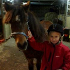 Anden særlig race Sesam  SOLGT