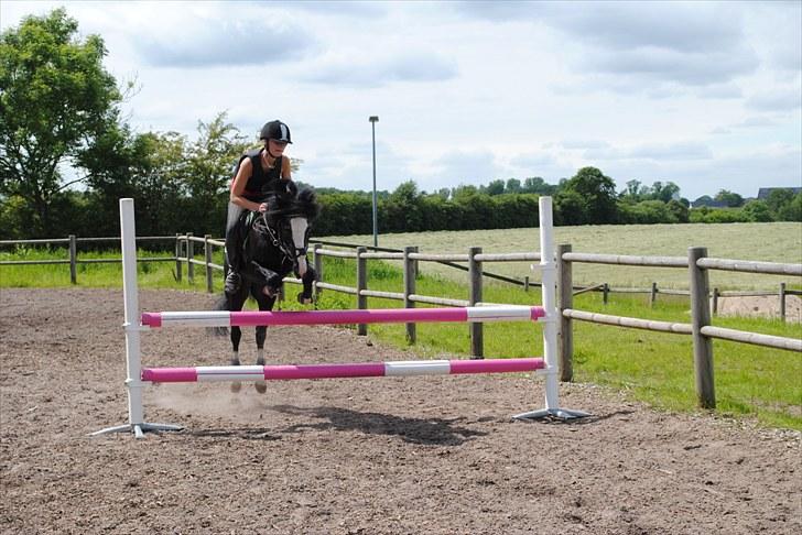Anden særlig race Starlight Moon - drømme ponyen elsker ham <3 foto: julie bratås billede 17
