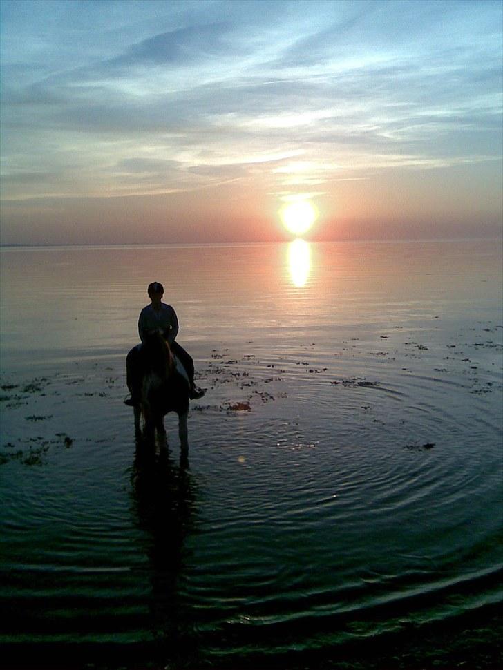 Tinker Frøken Smilla - Thea og Smilla ved Bogensø strand i smuk solnedgang. Maj 2008 billede 4