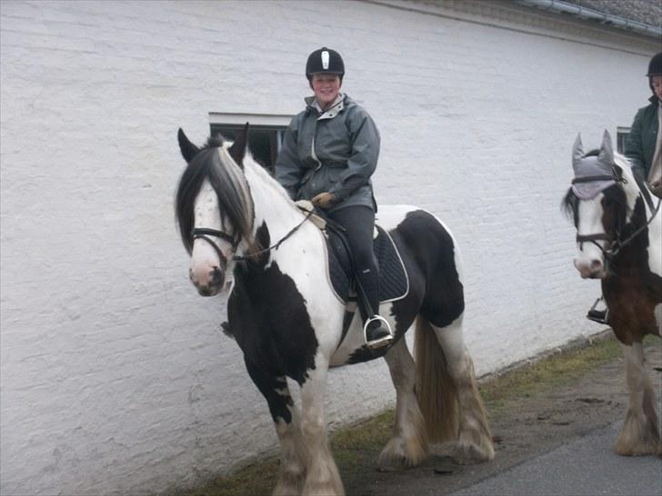 Tinker Frøken Smilla - Ridetur hjemme i martofte. Thea rider hende.  billede 5