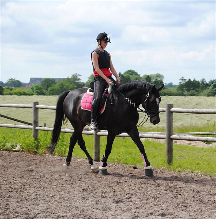 Oldenborg Rosenhavens Ann *YNDLINGS-HESTEN* - en dag julie tog billeder af os :) elsker diig snuske ann :) billede 5