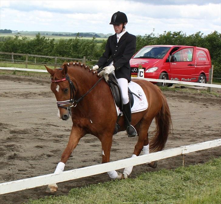 Hollandsk Sportspony Delmonte du Bois  B-pony - Delmonte du Bois til sit første stævne red 74,09% vi vandt klasse billede 10