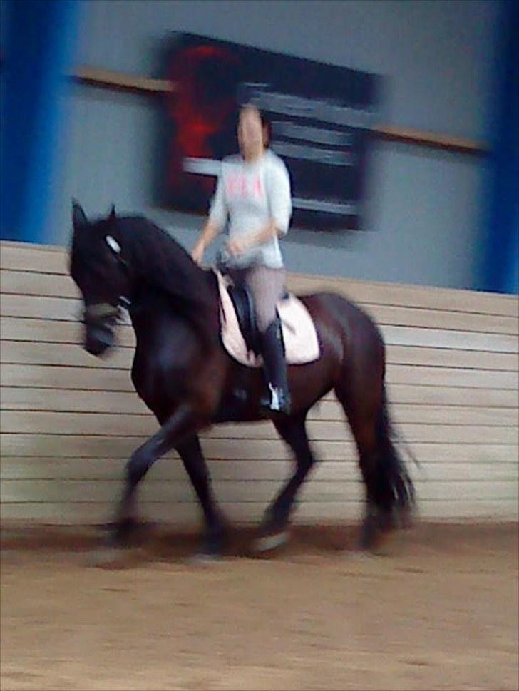 Frieser Hero billede 18