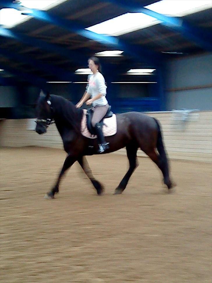 Frieser Hero billede 19