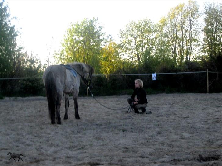 Islænder |Garun fra Gammelgaard|<3 - Stoler du på mig ..... .så stoler jeg på dig!  .....         ~DET GØR JEG SKAT :´]<3 billede 2