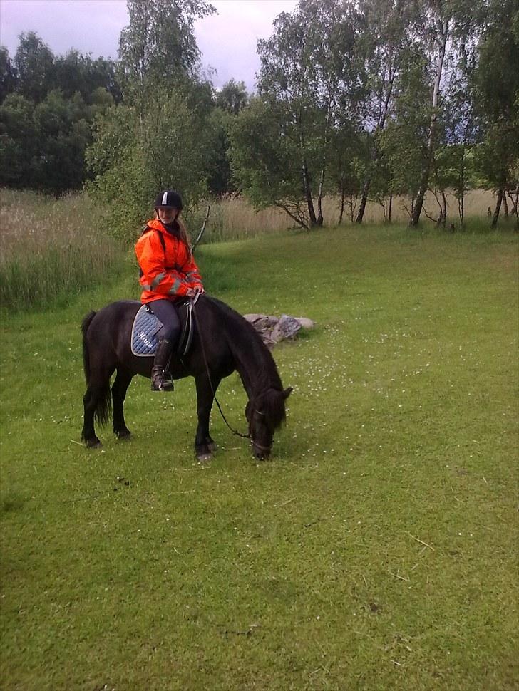 Anden særlig race Hugo - Mig og Hugo på et af vores pitstop, på vej til sommergræs 2010 billede 20