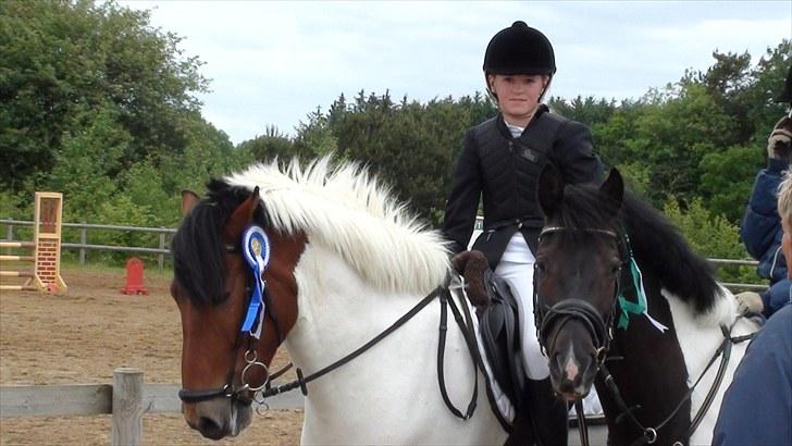 Pinto Jupiter RIP - 2009 billede 8