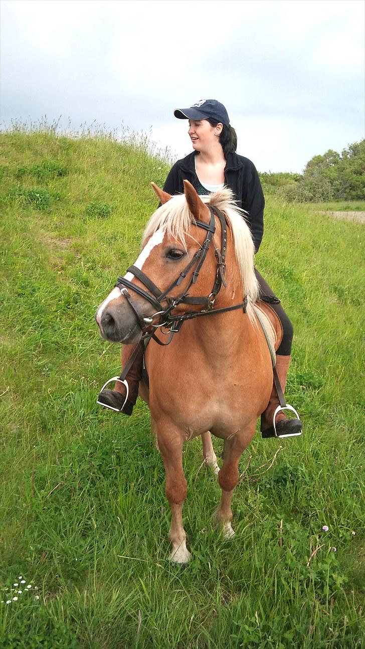 Haflinger Debbie - Debbie og Camilla i profil!! billede 12