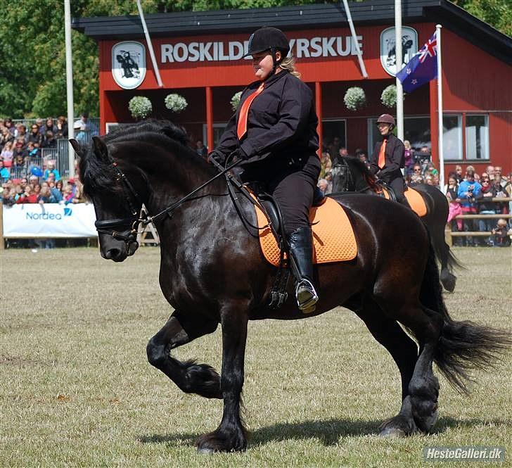 Frieser Bink - Foto "Jette N" billede 17