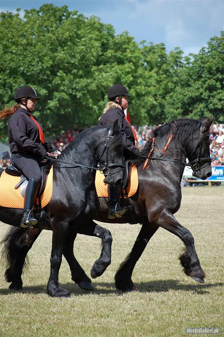 Frieser Bink - Foto "Jette N" billede 18