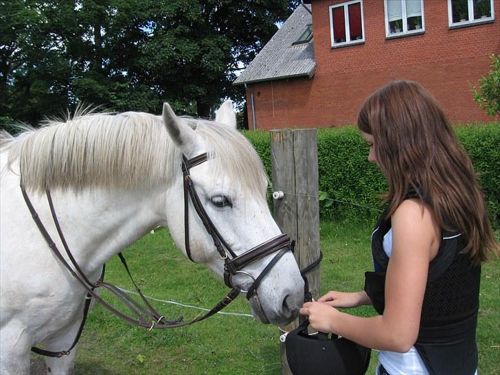 Anden særlig race Max - Solgt. billede 6