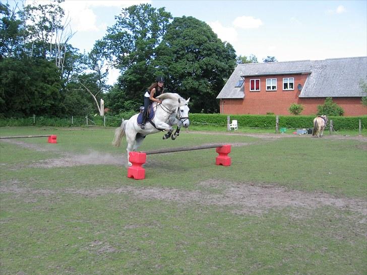 Anden særlig race Max - Solgt. - Dygtige Max xD billede 7