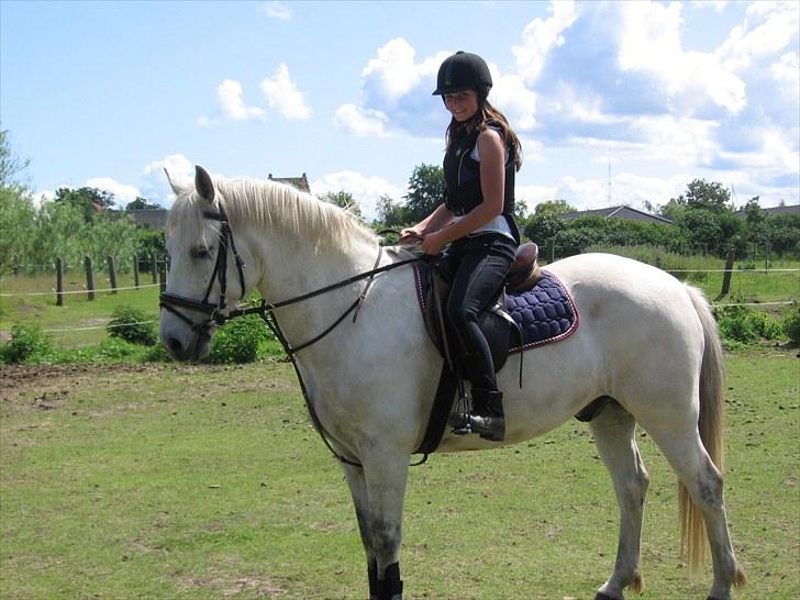 Anden særlig race Max - Solgt. billede 8