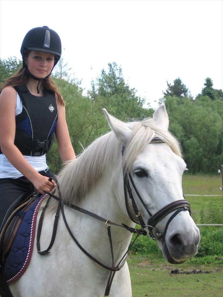 Anden særlig race Max - Solgt. billede 9