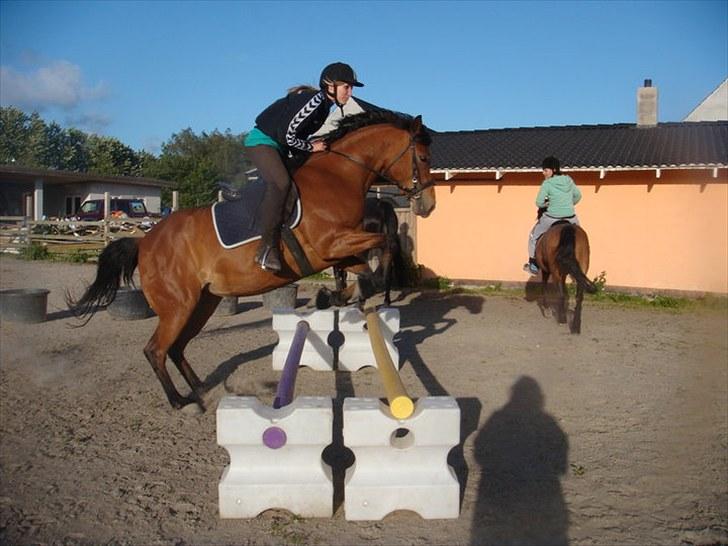 Anden særlig race Pretty Princess SOLGT billede 9