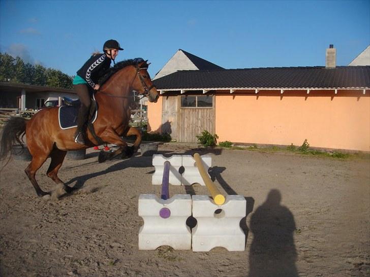 Anden særlig race Pretty Princess SOLGT billede 11