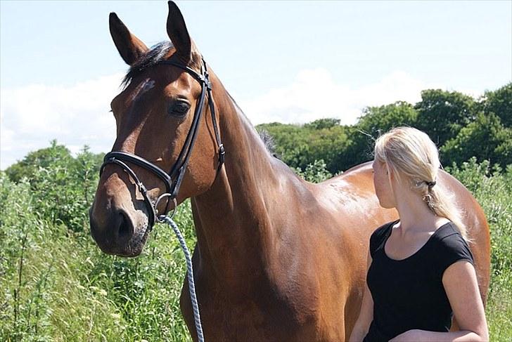 Dansk Varmblod Miss Cuba Xpart - <3 billede 2