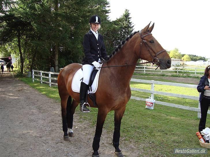 Dansk Varmblod Miss Cuba Xpart - Første stævne <3 billede 4