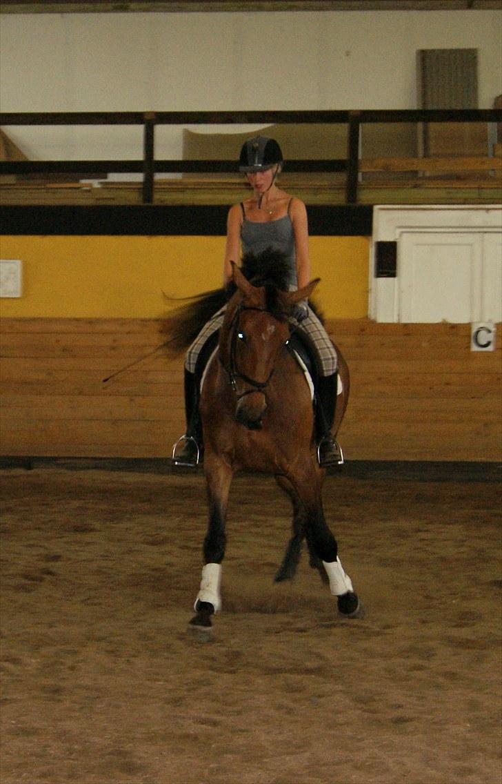 Dansk Varmblod Miss Cuba Xpart - Dressur d. 13.07.10 :D Shenkelvigning fotograf: Olivia  billede 9