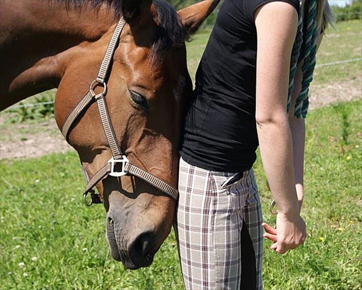 Dansk Varmblod Miss Cuba Xpart - Du er så dejlig min skat <3 billede 10