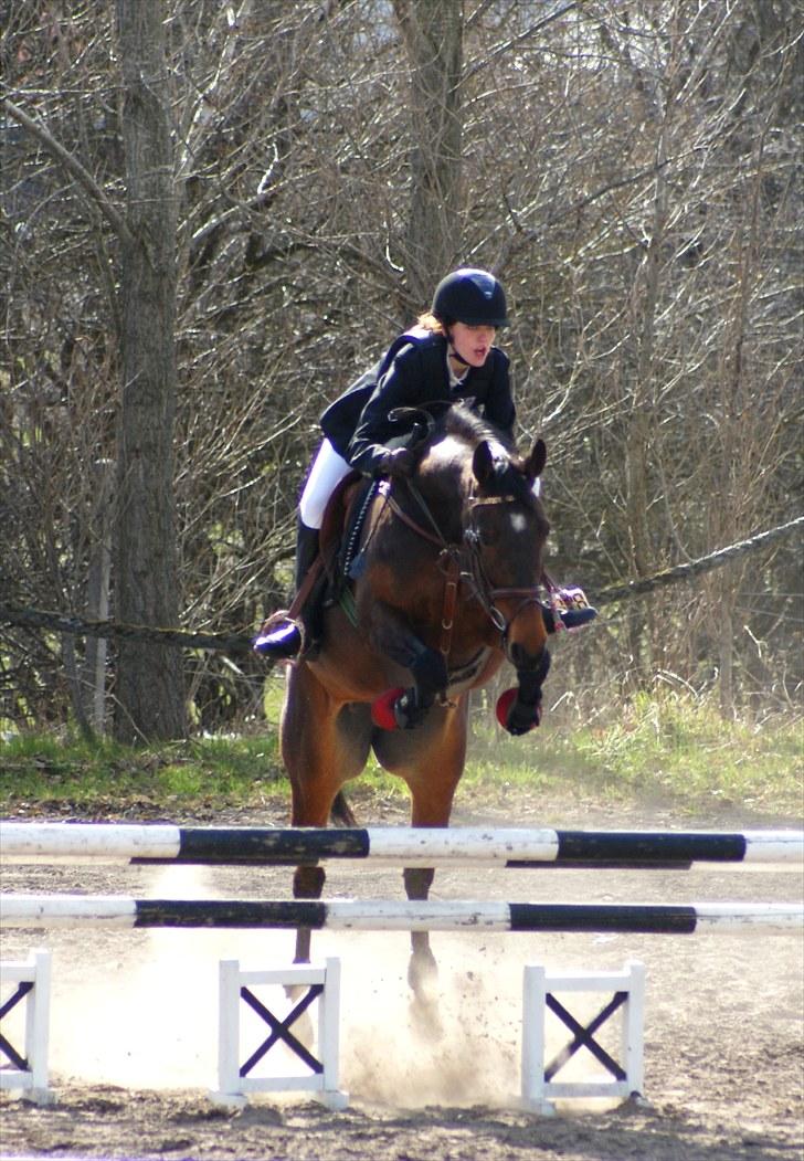 Anden særlig race Bonnie - Jeg savner pony-tiden :-( billede 17