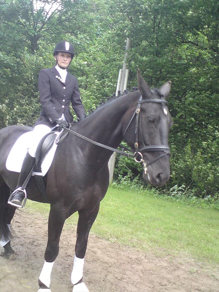 Oldenborg Møllevangs Lucky ( aflivet ) billede 13